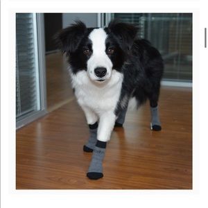 Dog socks for traction. Size XL